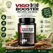Vigo Booster